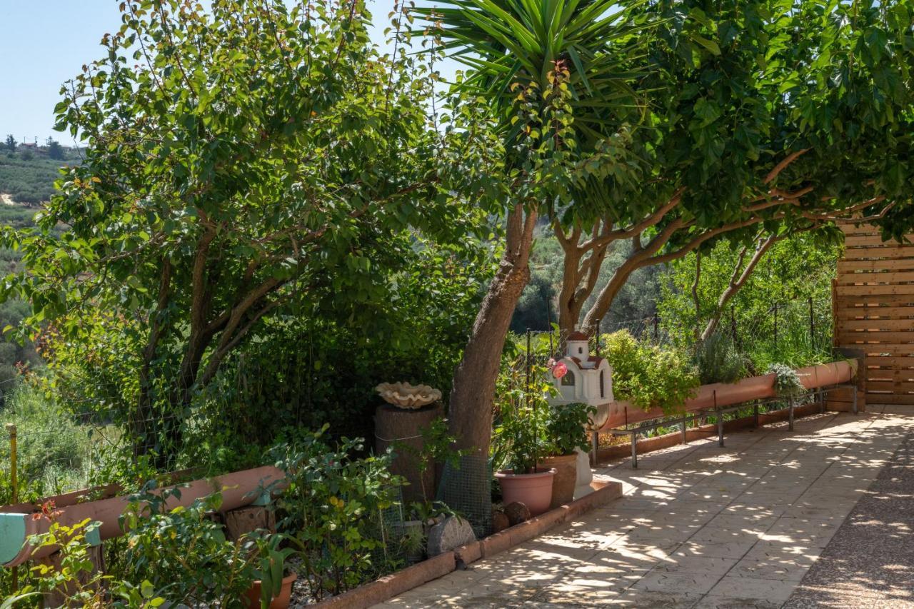 Aelia Home المظهر الخارجي الصورة